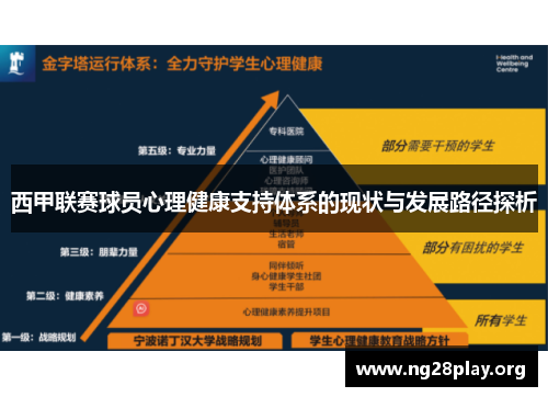 西甲联赛球员心理健康支持体系的现状与发展路径探析